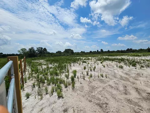 15780 NW 258th St, Okeechobee, FL 34972 photo 5