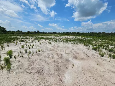 15780 NW 258th St, Okeechobee, FL 34972 photo 6