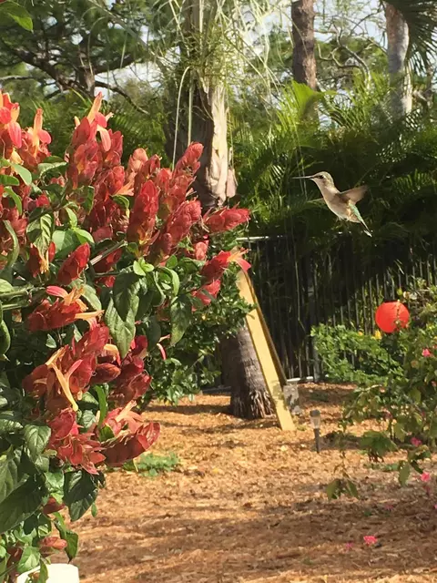 Other - 153 N River Dr E, Jupiter, FL 33458 photo 11 of 12
