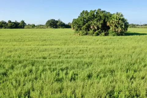tbd NW 276th St, Okeechobee, FL 34972 photo 10