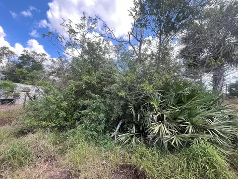 3608 Smithtown Rd, Sebring, FL 33876 photo 3