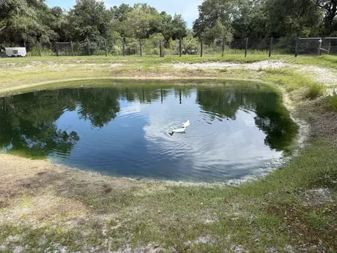 19084 NW 306th St, Okeechobee, FL 34972 photo 29