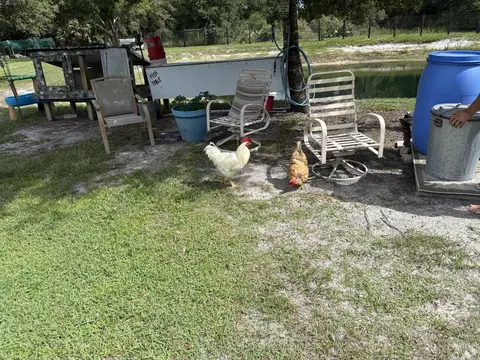 19084 NW 306th St, Okeechobee, FL 34972 photo 30