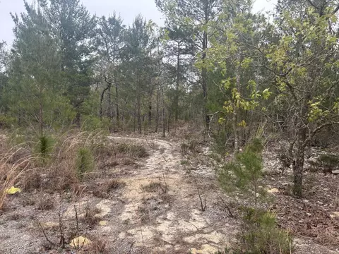 0 Grey St, Interlachen, FL 32148 photo 3