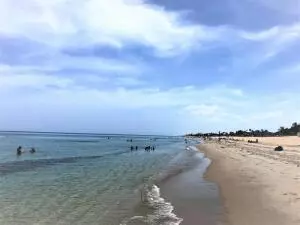 1001 NE 8th Ave #212, Delray Beach, FL 33483