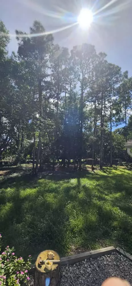 Exterior - 15941 Mellen Ln, Jupiter, FL 33478 photo 2 of 3