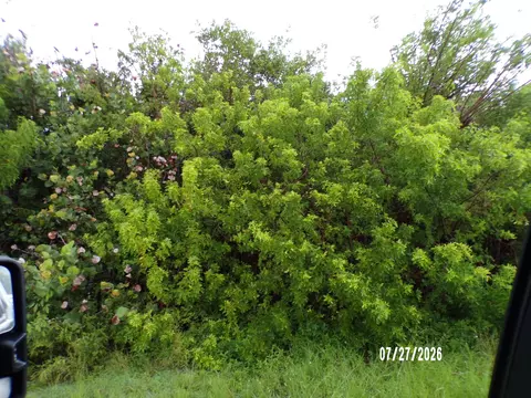 5306 Silver Oak Dr, Fort Pierce, FL 34982