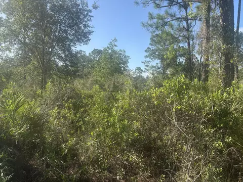1021 Granger St, Lake Placid, FL 33852