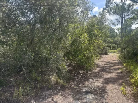 336 Stardust Ave, Lake Placid, FL 33852