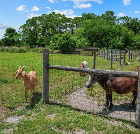 Other - 9999 NE 120th St, Okeechobee, FL 34972 photo 18 of 20