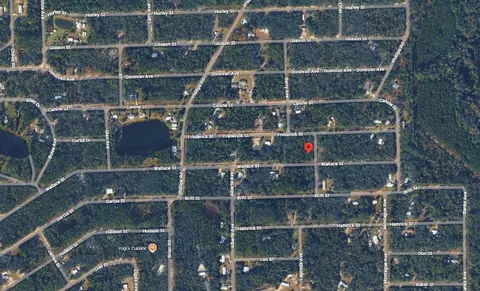 tbd Wallace St, Interlachen, FL 32148 photo 3
