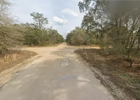 tbd Wallace St, Interlachen, FL 32148 photo 4