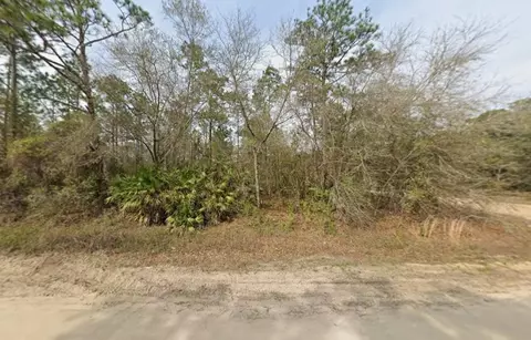 tbd Wallace St, Interlachen, FL 32148 photo 2