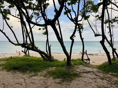 View/Area - 301 5th St, Jupiter, FL 33458 photo 5 of 5