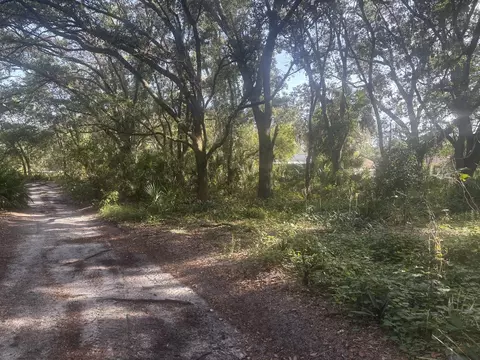 503 Pershing Ave, Lake Placid, FL 33852