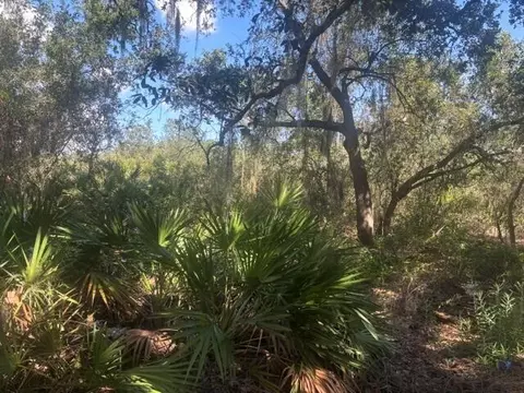 1211 Mayfair St, Lake Placid, FL 33852