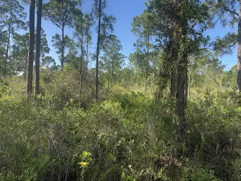 1017 Granger St, Lake Placid, FL 33852