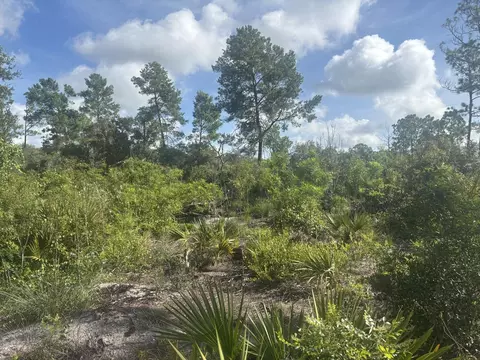 284 Rhapsody Ave, Lake Placid, FL 33852