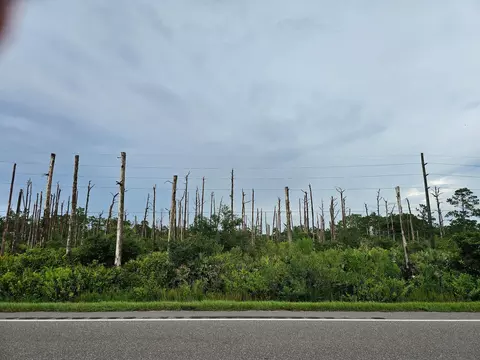 34964 Hwy 441, Okeechobee, FL 34972 photo 5