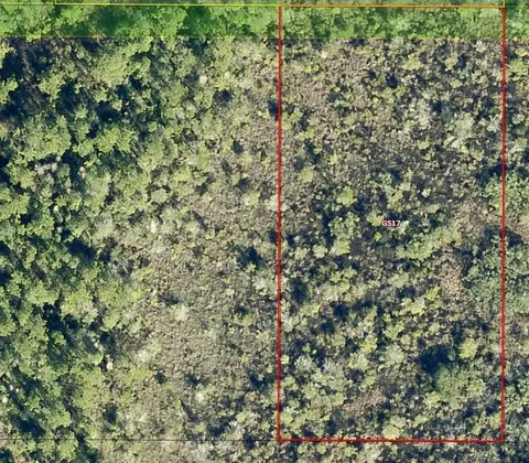 0 Salyers Rd, Groveland, FL 34736