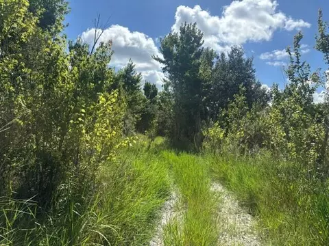 0 NW 312th St, Okeechobee, FL 34972 photo 4