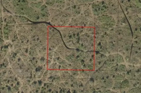 0 NW 312th St, Okeechobee, FL 34972 photo 3