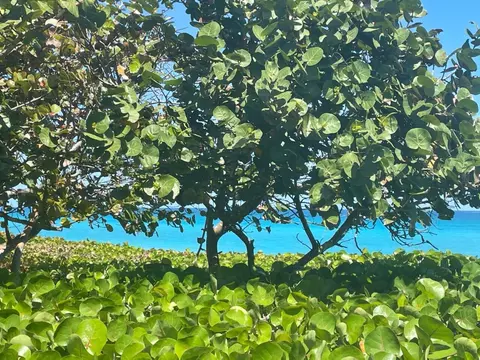 View/Area - 478 Tequesta Dr #204, Tequesta, FL 33469 photo 14 of 18