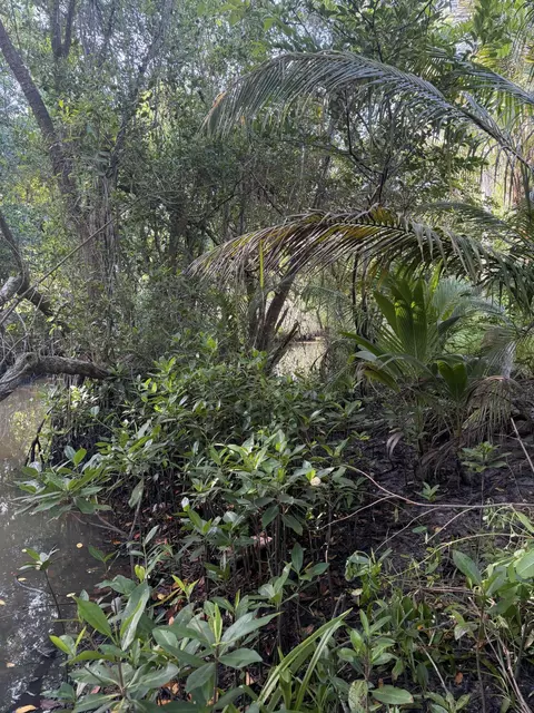 Other - 303 S Delaware Blvd, Jupiter, FL 33458 photo 6 of 9