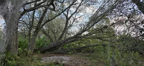 16529 NW 264th St, Okeechobee, FL 34972 photo 8