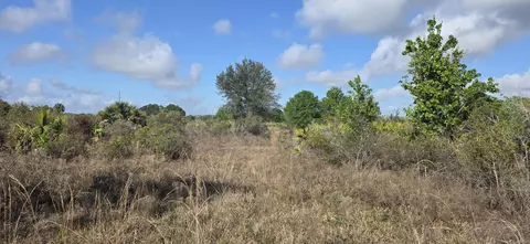 16529 NW 264th St, Okeechobee, FL 34972 photo 3