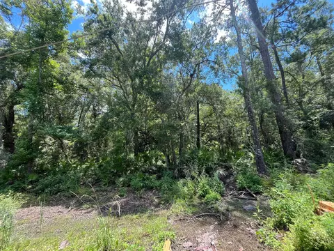 tbd Franklin Dr, Crawfordville, FL 32327