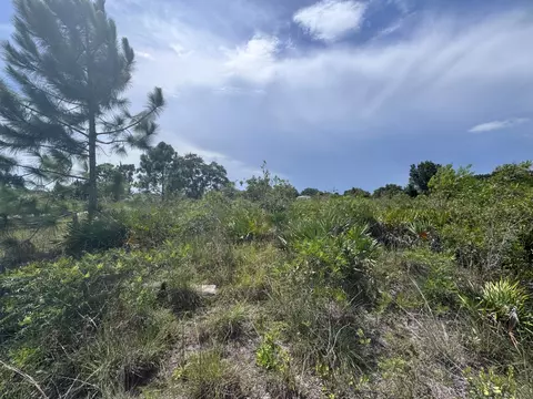 20589 NW 254th St, Okeechobee, FL 34972