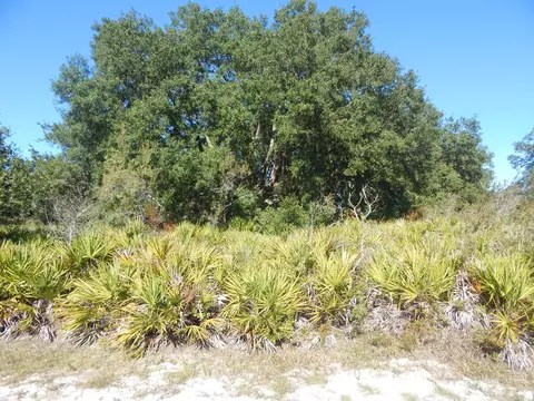 0 Park Ave, Indian Lake Estates, FL