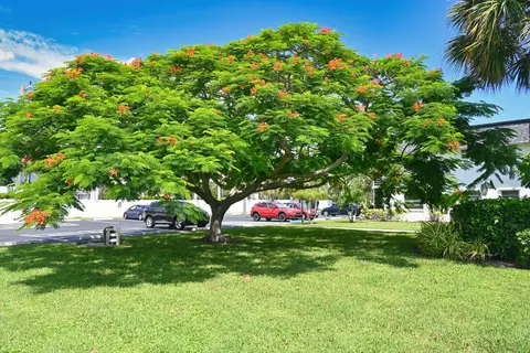 Exterior - 1100 E Indiantown Rd #113, Jupiter, FL 33477 photo 5 of 8