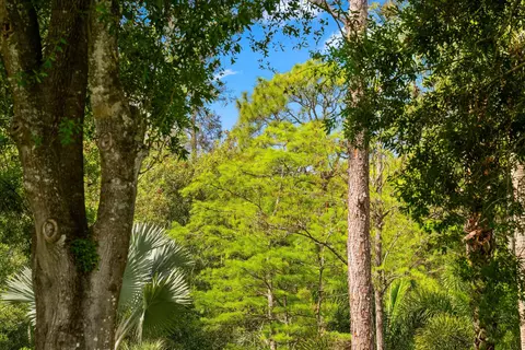 tbd F Rd, Loxahatchee Groves, FL 33470