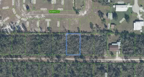 436 Nightingale Ave, Sebring, FL 33870 photo 3