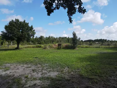 Exterior - 14985 NW 300th St, Okeechobee, FL 34972 photo 20 of 24