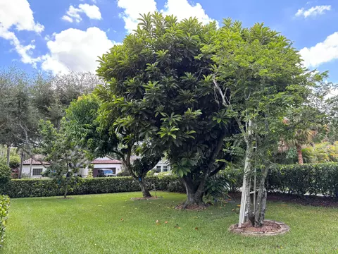 Exterior - 391 Mallard Pt, Jupiter, FL 33458 photo 6 of 8