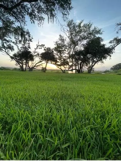 Other - 146 Swallow Rd, Saint Augustine, FL 32086 photo 5 of 6