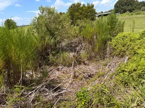 7972 SW 13th St, Okeechobee, FL 34974 photo 15