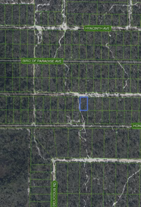 2221 Iris Ave, Sebring, FL 33875 photo 3