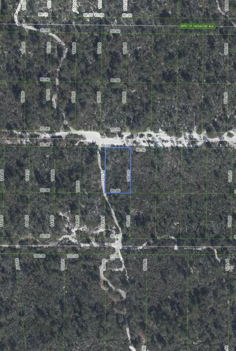 2221 Iris Ave, Sebring, FL 33875 photo 2