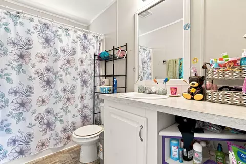 Bath - 20967 NW 250th St, Okeechobee, FL 34972 photo 3 of 3