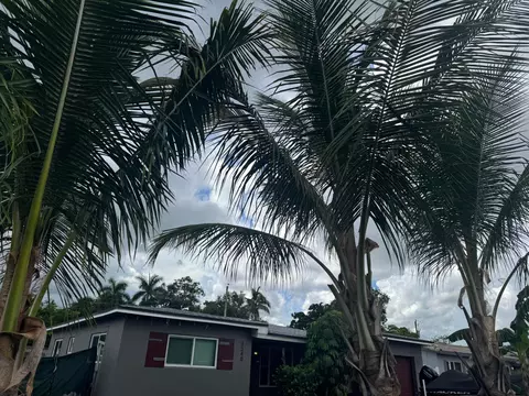 3340 SW 20th Ct, Fort Lauderdale, FL 33312