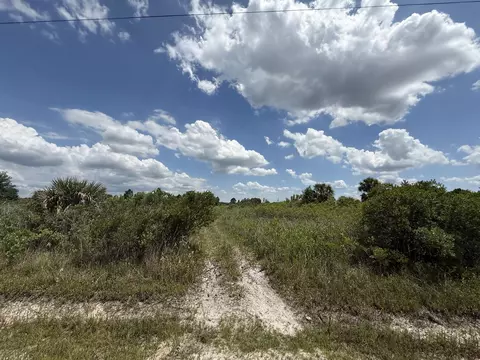 16162 NW 290th St, Okeechobee, FL 34972 photo 3