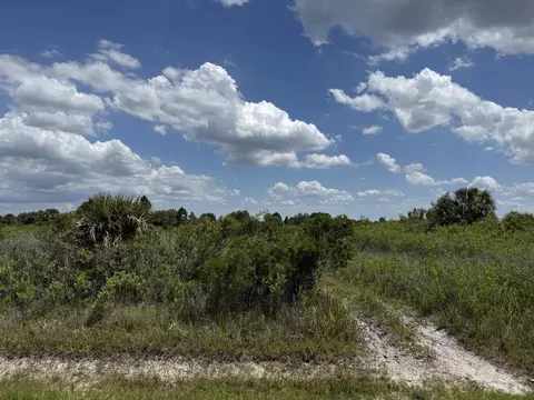 16162 NW 290th St, Okeechobee, FL 34972 photo 12