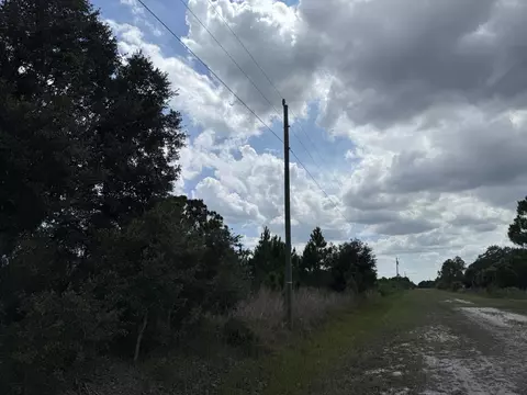 16162 NW 290th St, Okeechobee, FL 34972 photo 6