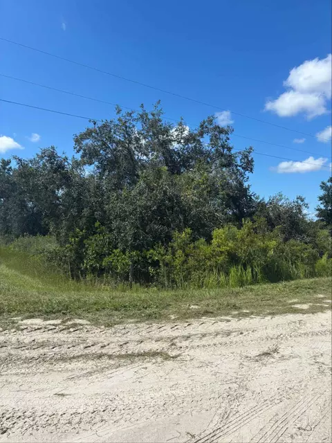 16014 NW 282nd St, Okeechobee, FL 34972 photo 2