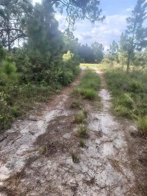 16791 NW 314th St, Okeechobee, FL 34972 photo 2