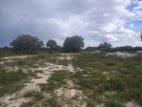 16791 NW 314th St, Okeechobee, FL 34972 photo 18